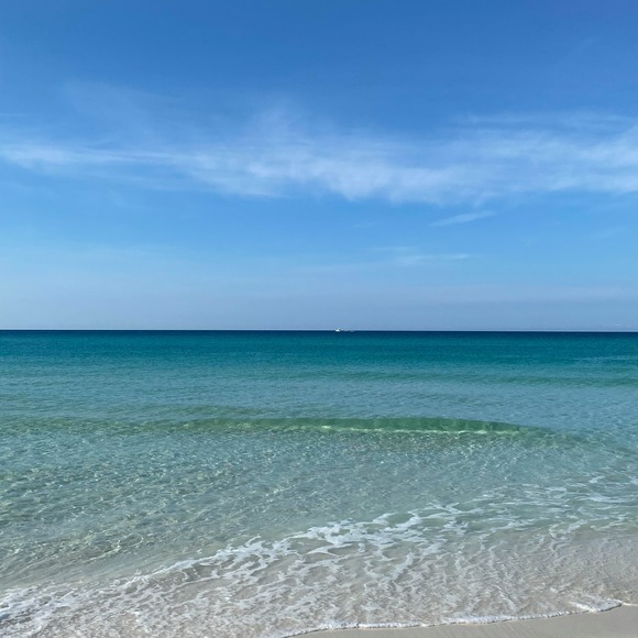 Meet your Posher, Robin - Picture 1 of 1